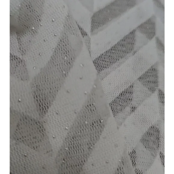 2BRAND NEW SHEER SHIRTS - Picture 2 of 2